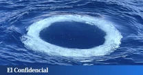 Decenas de anillos aparecen en el mar y la ciencia se pronuncia: pueden ser mensajes "de otra inteligencia"