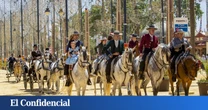 ¿Qué tiempo va a hacer en la Feria del Caballo 2025 en Jerez? Esto es lo que dicen las previsiones meteorológicas