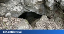 Entran en una cueva en Corea del Sur y hallan 4 'dragones' desconocidos para la ciencia