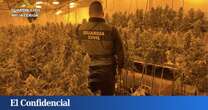 Dos detenidos tras localizar 463 plantas de marihuana en el sótano de El Casar (Guadalajara)