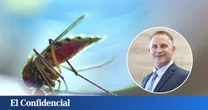 Scott Braunstein, médico, sobre por qué te pican los mosquitos: "Tu grupo sanguíneo es clave"