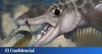Exploran el sistema de cuevas más largo del mundo y encuentran un nuevo tiburón con 340 M de años
