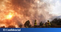 16 millones y 2.200 beneficiarios: las ayudas de CyL por los incendios cogen impulso