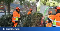 Todas las calles de Madrid que estarán cortadas esta semana por labores de conservación de arbolado y zonas verdes: listado completo