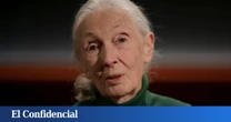 Jane Goodall, en una entrevista póstuma: "Metería a Trump, Musk y Putin en una nave y los mandaría al espacio sin billete de vuelta"