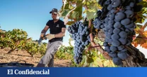 El Museo que hizo del vino un atractivo turístico y catapultó a las bodegas de Ribera del Duero