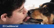 Capnocytophaga: cómo el simple lametazo de un perro puede ocasionarte un grave problema