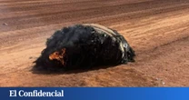 Un objeto en llamas cae del cielo en Australia y la ciencia trata de encontrar una explicación