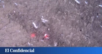 China se sumerge a 9.500 metros y encuentra formas de vida desconocidas, pero eso no es lo preocupante