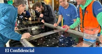 Confirmado: los restos del objeto interestelar estrellado en el Pacífico no son comunes