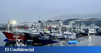 Un tiburón azul de casi dos metros llega hasta el embarcadero de Santoña (Cantabria)