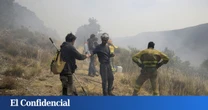 Solo un 12% de los castaños centenarios de Las Médulas resultó quemado por el fuego y una parte rebrotará