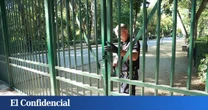 Reabre el parque de María Luisa en Sevilla tras aplicar medidas frente a la gripe aviar