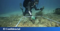 La Bluewave Alliance y la Asociación Vellmarí plantan más de 37.000 plantas de posidonia para proteger el Mediterráneo