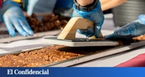 Así será el reparto gratis de turrón este viernes en el centro de Madrid: busca batir el récord del más largo del mundo