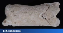 Un silbato de 3.300 años aporta luz sobre la seguridad real del Antiguo Egipto