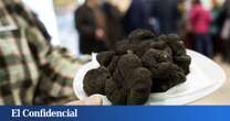 De tierra infértil a imperio familiar: el negocio millonario de las trufas impulsa a toda una comarca de Teruel