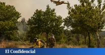 Así debe ser el bosque del futuro para que Europa no arda