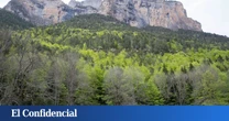 Mueren 27 vacas de una explotación ganadera de Rodeiro (Pontevedra) tras ser alcanzadas por un rayo