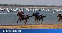 Detenido un hombre por agresión sexual en las carreras de caballos de Sanlúcar (Cádiz)