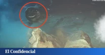 China arroja una vaca al mar y despierta sin querer a 8 'dormilones' en las profundidades