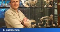 Vas a sufrir sí o sí: está programado en la evolución (lo dice un paleoneurobiólogo)