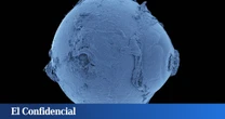 El mapa del cuerpo humano más completo creado hasta la fecha revela estructuras ocultas nunca vistas de nuestro organismo