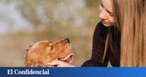 Esto es lo que debes hacer para 'sincronizar' tu cerebro con el de un perro (y qué implica)