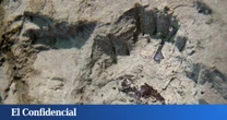 Exploran un antiguo cráter volcánico en España y encuentran un 'tesoro' con 2,6 millones de años