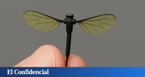 El nuevo mosquito espía del Ejército chino: un dron casi invisible para misiones encubiertas