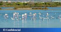 El pueblo de Murcia que está lleno de joyas naturales (aunque muchos lo desconozcan): aguas cristalinas y kilómetros de arena