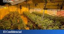 Un incendio destapa una nave con 1.524 plantas de marihuana en Masquefa (Barcelona)