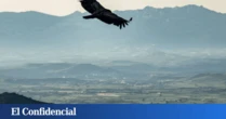 El mirador secreto de Logroño que pocos conocen: vistas de postal para ver La Rioja como nunca antes