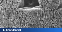 Hong Kong afirma haber creado un material que desala el agua del mar sin gastar energía