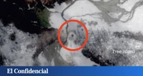 EEUU detecta pequeñas explosiones subterráneas y un satélite encuentra un cráter: solo hay una opción posible