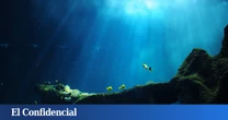Exploran con sonar las profundidades del océano y son testigos de la mayor 'masacre' jamás documentada