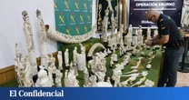 Golpe al tráfico de marfil: intervenidas 127 piezas de elefantes asiáticos y africanos en Valencia