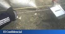 Encuentran una estatua de hace 3.000 años con huellas humanas "frescas" y la ciencia trata de explicar cómo es posible