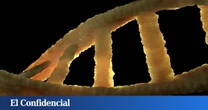 Inyectan un virus en el oído y solucionan un problema que afectaría hasta a 5 de cada 1.000 niños (solo) en España