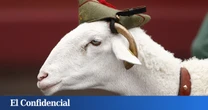 Así es Camarón, la cabra que participa en el desfile militar del Día de las Fuerzas Armadas en Santa Cruz de Tenerife