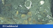 Encuentran un galeón hundido con varias toneladas de monedas de oro: valen más de 17 millones de euros