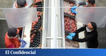 Radiografía económica a la empresa cooperativa agroalimentaria valenciana: luces y sombras