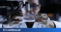 Hacen un experimento con moscas y descubren que deberías tener cuidado con las horas a las que tomas café