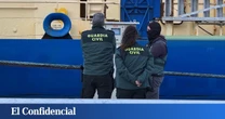 “Es una carnicería”: capturan una manada de delfines y los arrojan muertos al mar
