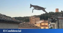 Así es el pueblo de Castellón que ha sido invadido por unas cabras que saltan los tejados