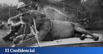 En 1898, dos leones mataron a 35 personas. Ahora sabemos que tuvieron una vida muy extraña