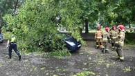 Szczecin i okolice po wichurze. Powalone drzewa, uszkodzone auta i korki
