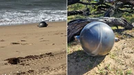 Tajemnicze obiekty na plaży. Pochodzą z kosmosu