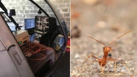 Jeśli jest życie w kosmosie, ta technika ułatwi jego wykrycie