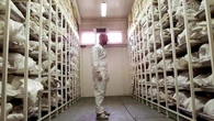 Ludobójstwo w Srebrenicy. Po 30 latach wciąż szukają swoich bliskich
